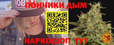 метадон Кингисепп