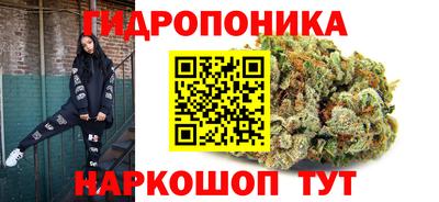 метадон Кингисепп