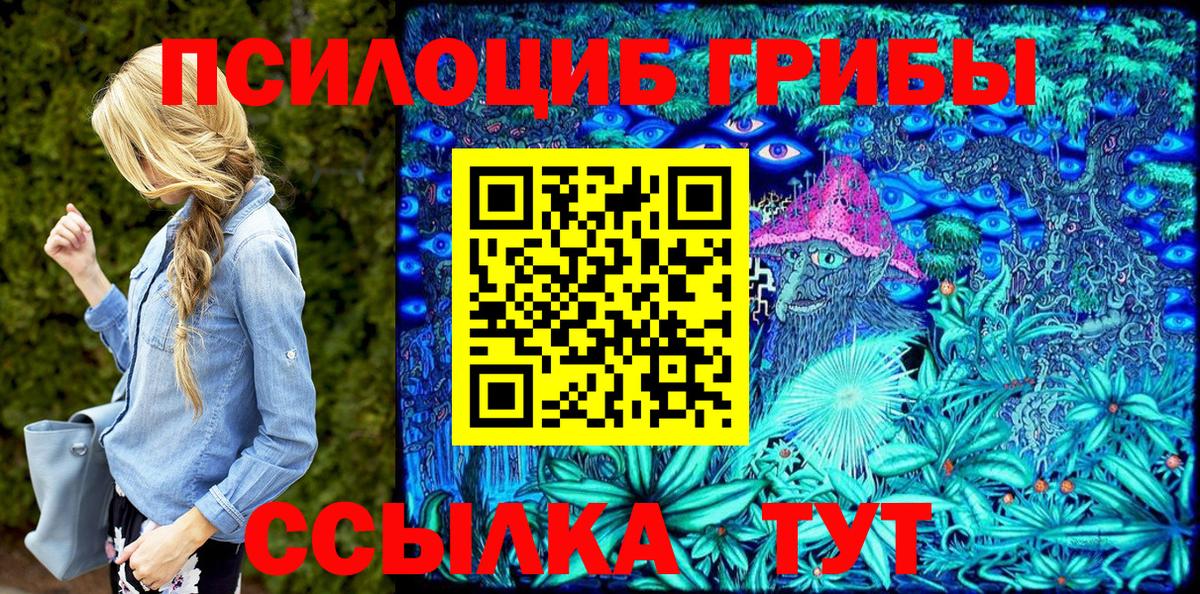Галлюциногенные грибы Psilocybine cubensis  Псилоцибиновые грибы прущие грибы  Южно-Сахалинск  Вход с VPN 