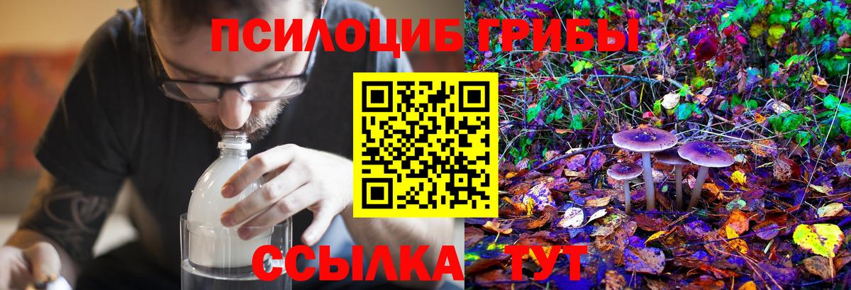 Псилоцибиновые грибы Psilocybine cubensis Южно-Сахалинск